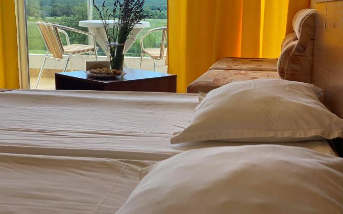Hotel Plamena Palace