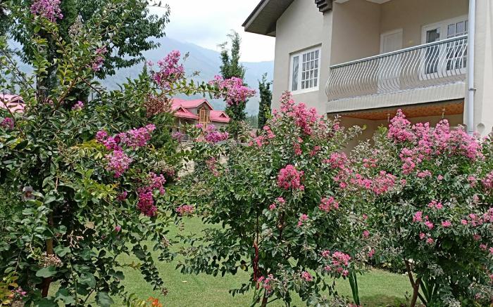 Snow Leopard Lodge