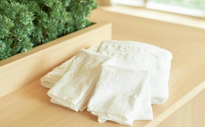 Sotetsu Fresa Inn Osaka-Shinsaibashi