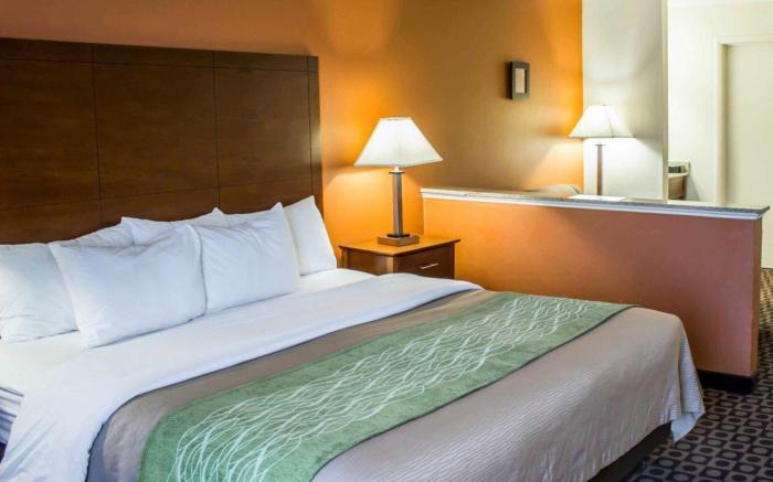 Comfort Inn Fayetteville I-95