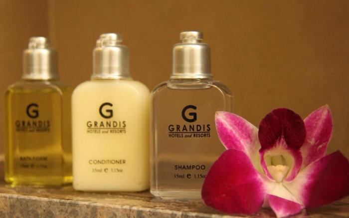 Hotel Grandis