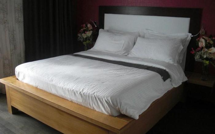 B&B Radici24
