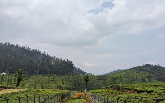 Bagaan
