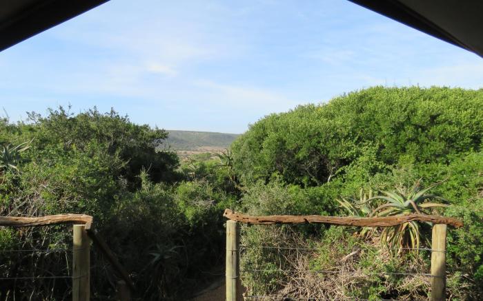 Woodbury Tented Camp
