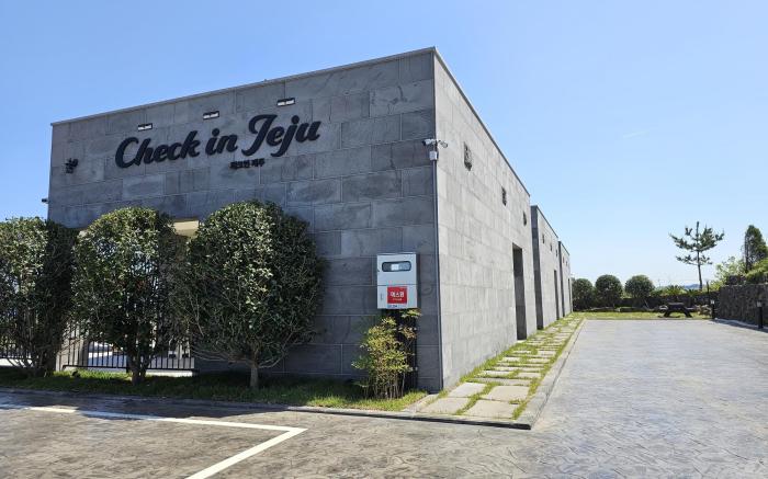 Check in Jeju
