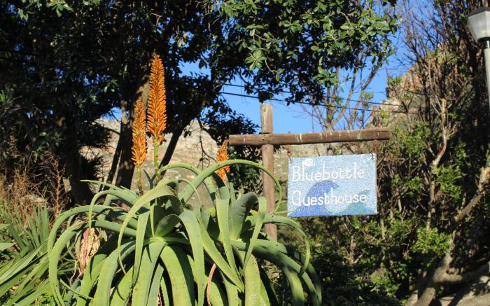 Bluebottle Guest House