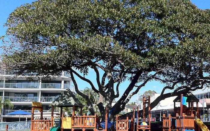 Caloundra Moffat Beach Motel