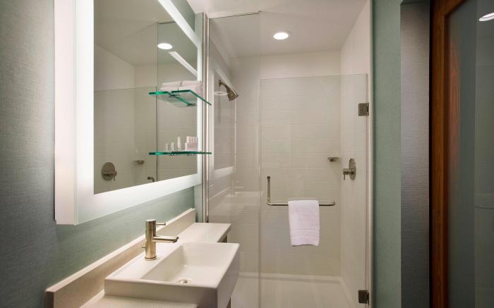 SpringHill Suites Houston Downtown/Convention Center