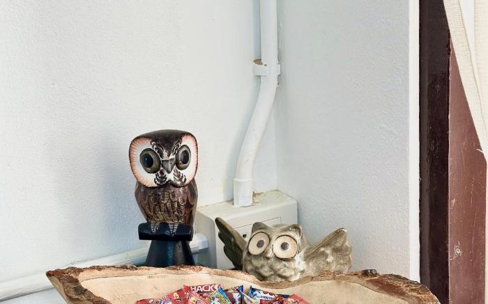 Sleep Owl Chiang Mai
