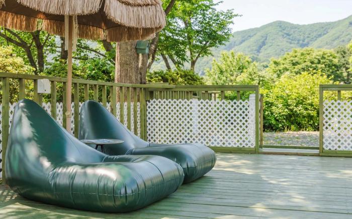 Gapyeong Dangdangi Pet Pension Green