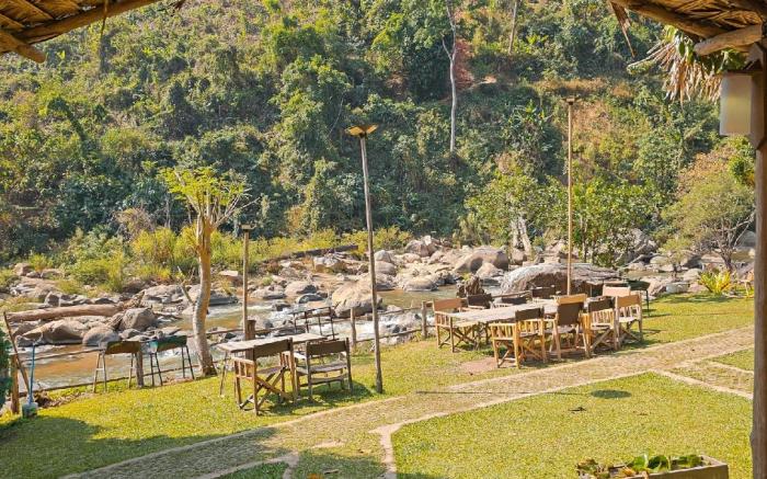 Stay wild & Cafe Room 5