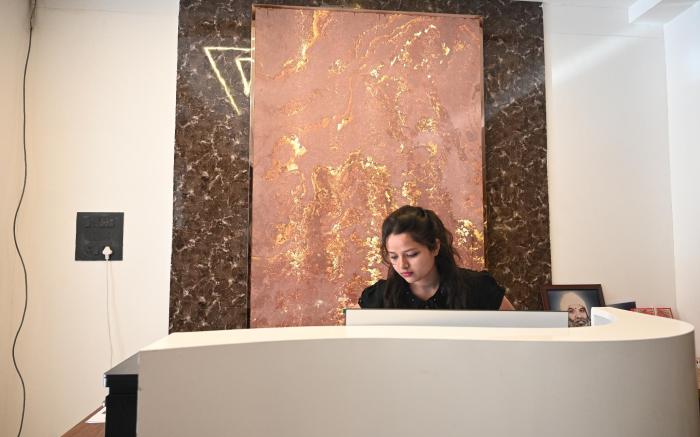 HOTEL PICASSO ROOMS & BANQUETS