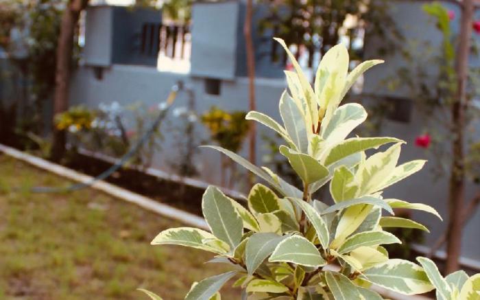 Aha Luxury Stay - 3BHK Villa with Garden & Parking