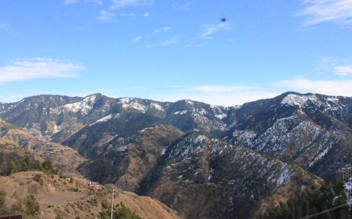 Silverpine Apartment & Homestay