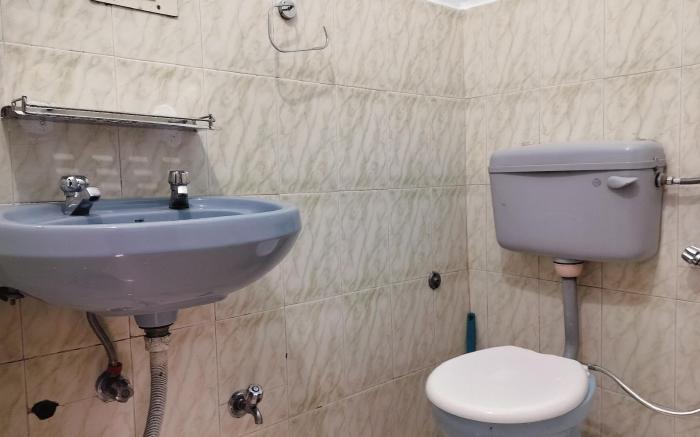 Pine Wood Mcleodganj