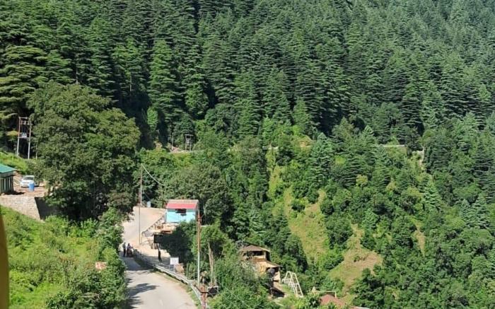 Hotel Crystal Palace Dhanaulti