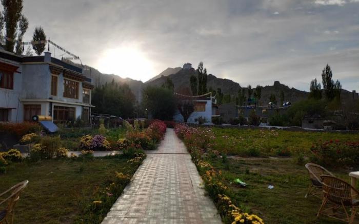 Hotel  Kurja House 