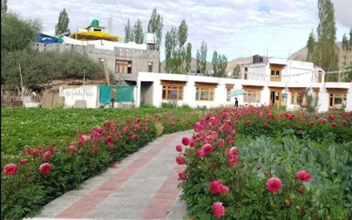 Hotel  Kurja House 