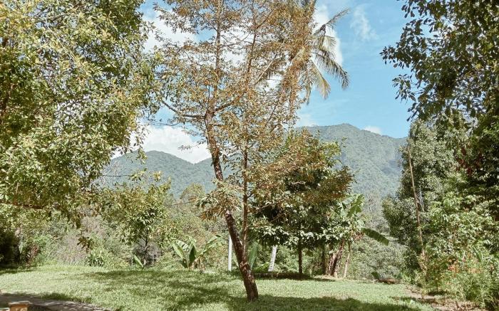 Jepun Homestay Lemukih 