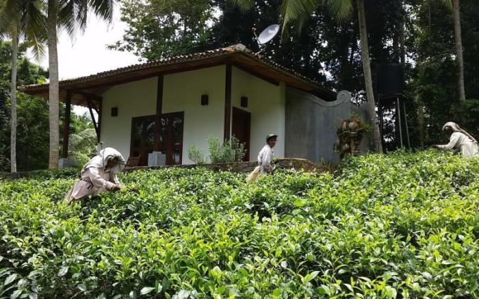 Leisure Land Villas