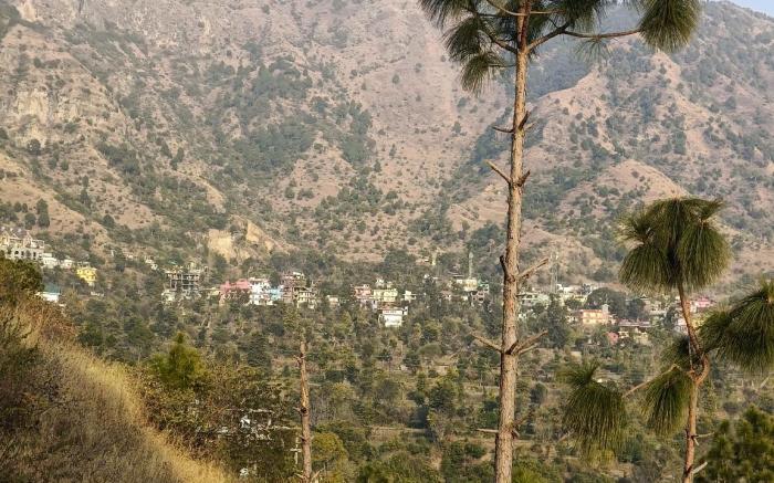 Valley View Homestay 