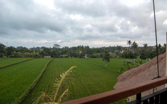 Villa Uma Luwih