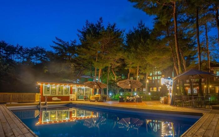 Hoengseong Marshmallow Pool Villa - pets allowed