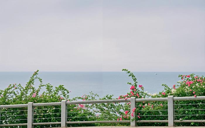 Mandala Twilight Haven Retreat