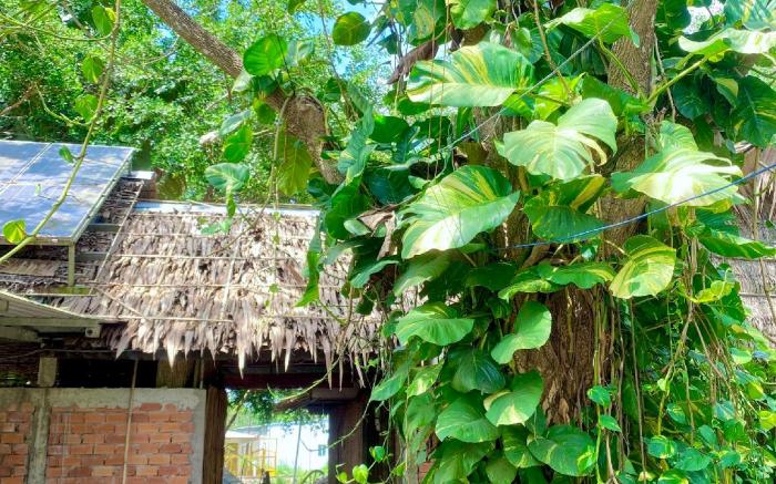 Hometravel Mekong Can Tho