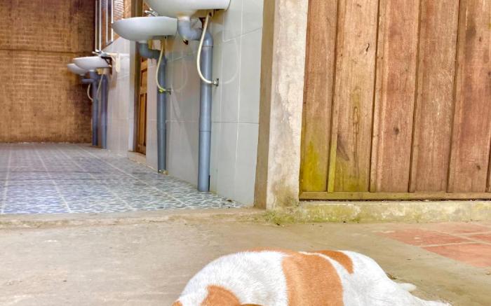 Hometravel Mekong Can Tho