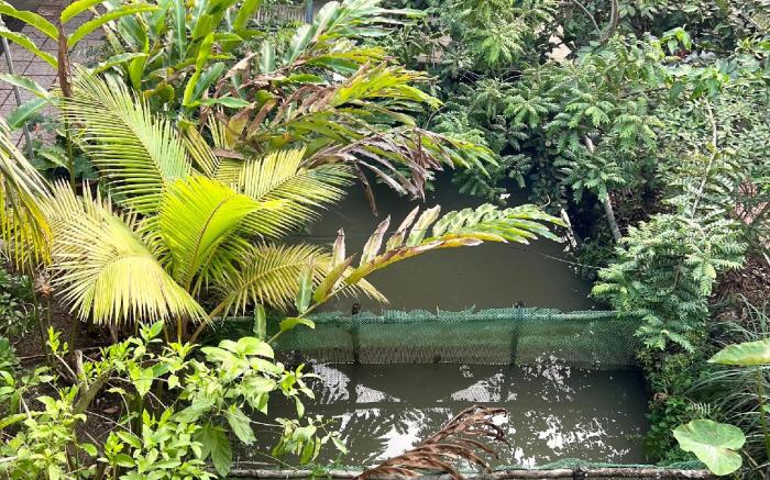 Tay Do Homestay Can Tho