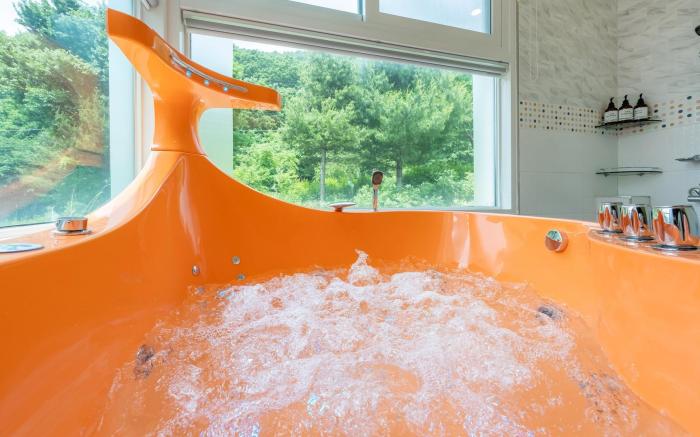 Gapyeong Chagall Spa pension