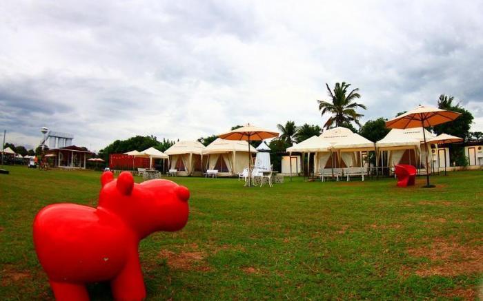 The Camping Field Resort