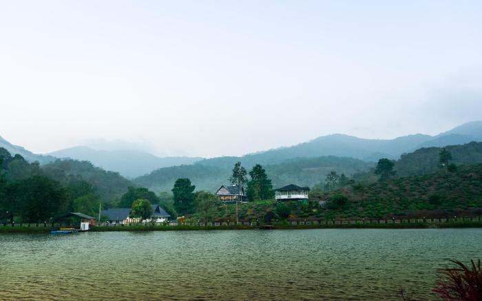 Jungle View Resort