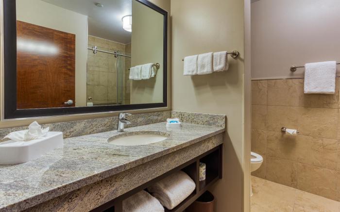 Drury Inn & Suites Cincinnati Northeast Mason