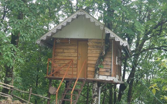 ECOYARD HOMESTAY