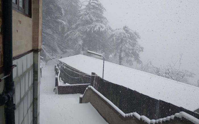 Hotel Amar Palace Shimla