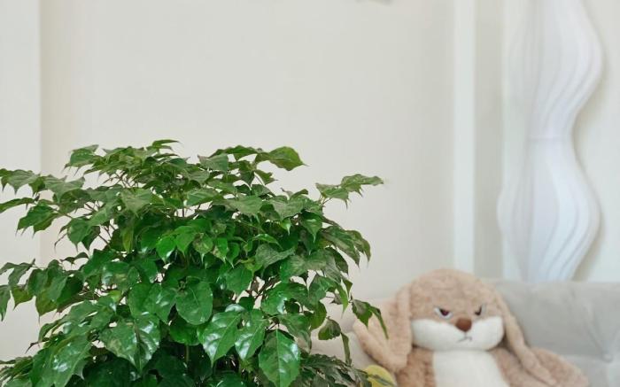 Trốn Homestay-Vinhomes Smartcity