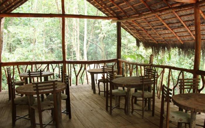 Jungle River Resort