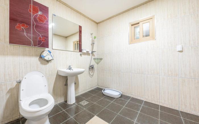 gapyeong beilli pet pool villa pension