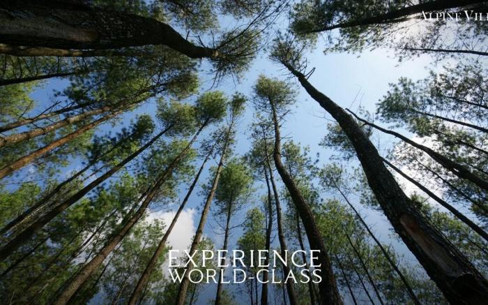 Crosswinds Resort Staycation AlpineVillas /Netflix