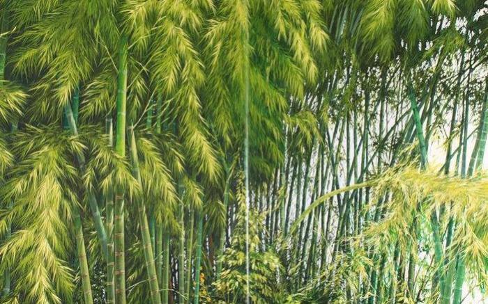 Hotel Mocawa Plaza Armenia