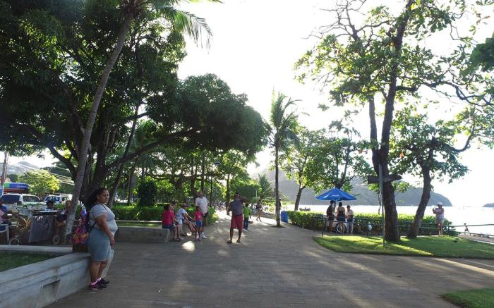 The Palms At Coco Beach