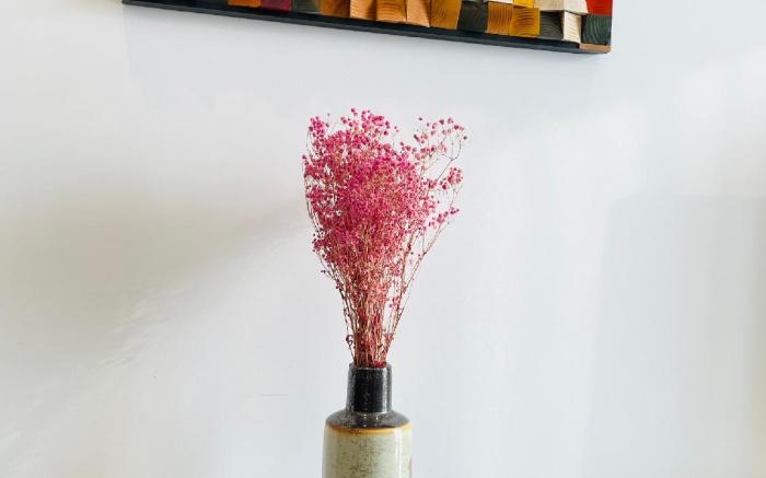 Vinhomes Skylake Premier Apartment Ha Noi