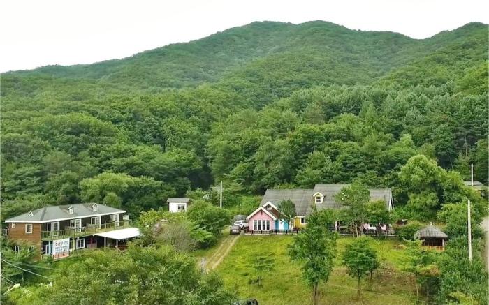 Gangwon Gombaeryeong Evergreen