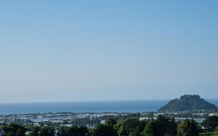 Jeju Oasis Recreation Pension