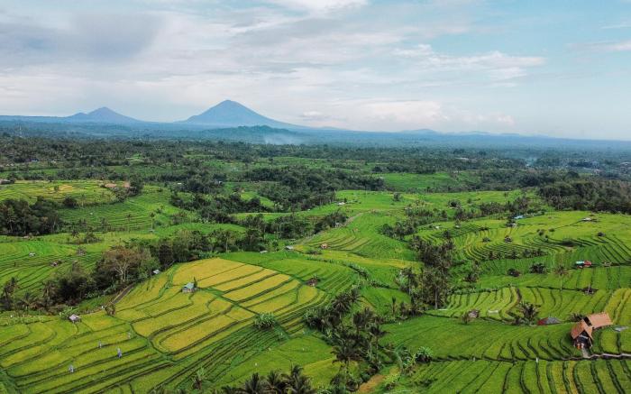 Bhuana Agung Villa and Restaurant jatiluwih 