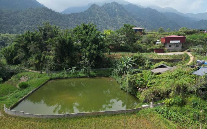 Lanh Sapa Homestay