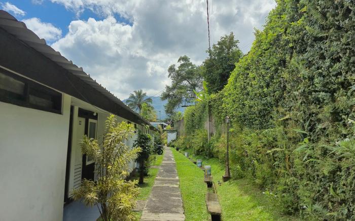 Capital O 94094 New Lembah Nyiur