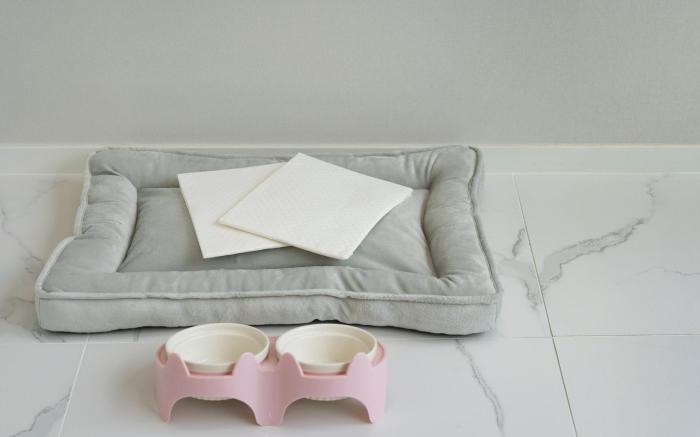 Gapyeong staysumok pool villa pension